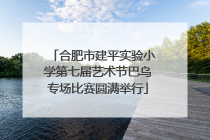 合肥市建平实验小学第七届艺术节巴乌专场比赛圆满举行