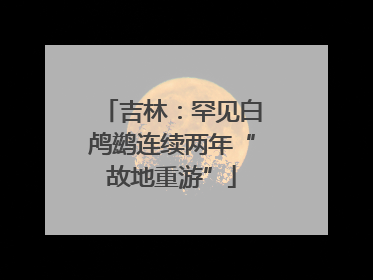 吉林：罕见白鸬鹚连续两年“故地重游”