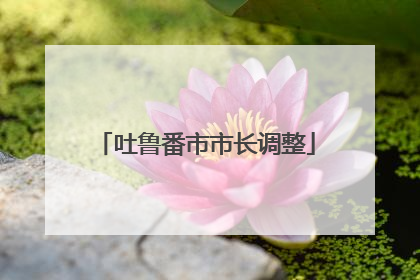 吐鲁番市市长调整