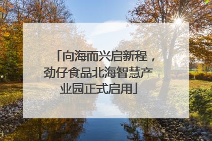 向海而兴启新程，劲仔食品北海智慧产业园正式启用