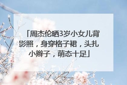 周杰伦晒3岁小女儿背影照，身穿格子裙，头扎小辫子，萌态十足