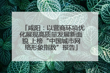 咸阳：以营商环境优化展现高质量发展新面貌 上榜“中国城市网络形象指数”报告