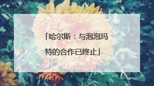 哈尔斯：与泡泡玛特的合作已终止