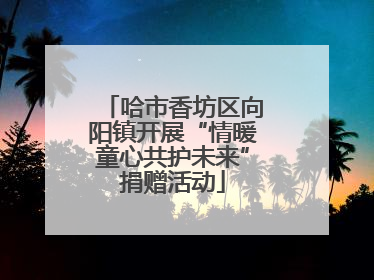 哈市香坊区向阳镇开展“情暖童心共护未来”捐赠活动