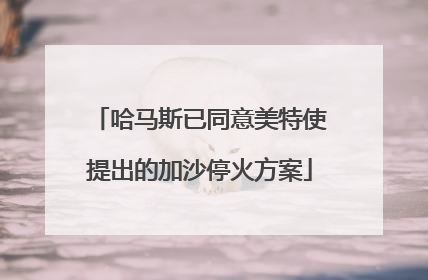 哈马斯已同意美特使提出的加沙停火方案