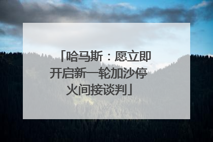 哈马斯：愿立即开启新一轮加沙停火间接谈判