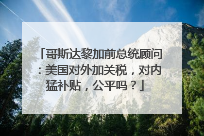 哥斯达黎加前总统顾问：美国对外加关税，对内猛补贴，公平吗？