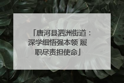 唐河县泗洲街道：深学细悟强本领 履职尽责担使命
