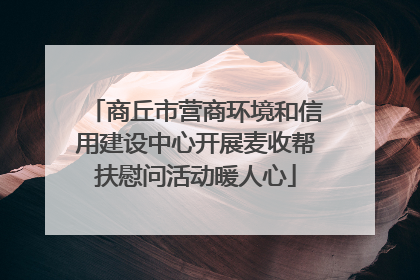 商丘市营商环境和信用建设中心开展麦收帮扶慰问活动暖人心