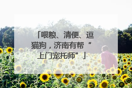 喂粮、清便、逗猫狗，济南有帮“上门宠托师”