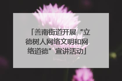 善南街道开展“立德树人网络文明和网络道德”宣讲活动