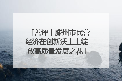 善评｜滕州市民营经济在创新沃土上绽放高质量发展之花