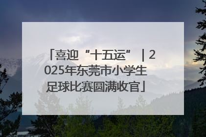 喜迎“十五运”｜2025年东莞市小学生足球比赛圆满收官
