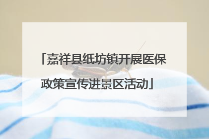 嘉祥县纸坊镇开展医保政策宣传进景区活动