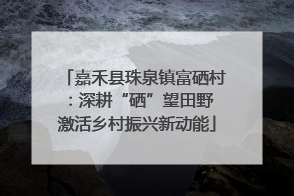 嘉禾县珠泉镇富硒村：深耕“硒”望田野 激活乡村振兴新动能