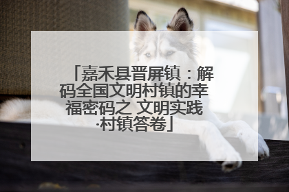 嘉禾县晋屏镇：解码全国文明村镇的幸福密码之 文明实践·村镇答卷