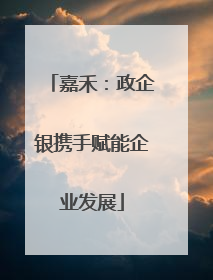 嘉禾：政企银携手赋能企业发展