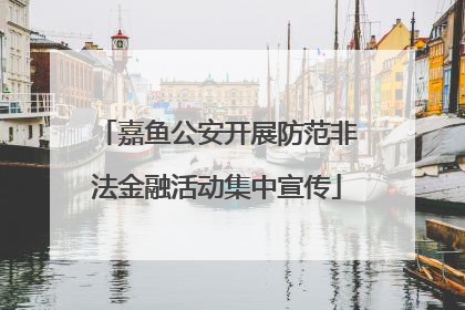 嘉鱼公安开展防范非法金融活动集中宣传