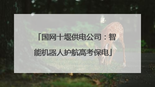 国网十堰供电公司：智能机器人护航高考保电
