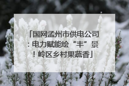 国网孟州市供电公司：电力赋能绘“丰”景！岭区乡村果蔬香
