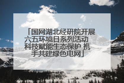 国网湖北经研院开展六五环境日系列活动 科技赋能生态保护 携手共建绿色电网