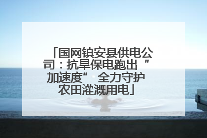 国网镇安县供电公司：抗旱保电跑出“加速度” 全力守护农田灌溉用电