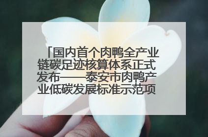 国内首个肉鸭全产业链碳足迹核算体系正式发布——泰安市肉鸭产业低碳发展标准示范项目顺利通过验收