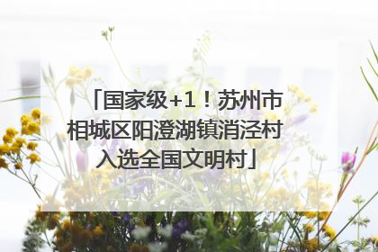 国家级+1！苏州市相城区阳澄湖镇消泾村入选全国文明村