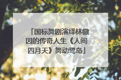 国标舞剧演绎林徽因的传奇人生《人间四月天》舞动鹭岛