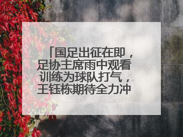 国足出征在即，足协主席雨中观看训练为球队打气，王钰栋期待全力冲击印尼队
