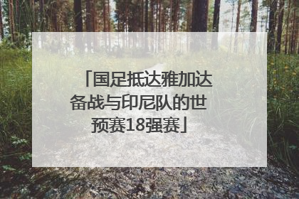国足抵达雅加达备战与印尼队的世预赛18强赛