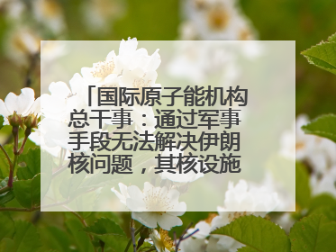 国际原子能机构总干事：通过军事手段无法解决伊朗核问题，其核设施仍具备相关产能，只需要数月就能生产出浓缩铀
