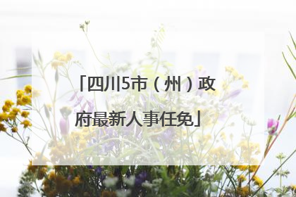 四川5市（州）政府最新人事任免