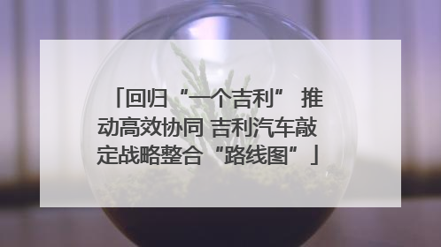 回归“一个吉利” 推动高效协同 吉利汽车敲定战略整合“路线图”