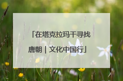 在塔克拉玛干寻找唐朝｜文化中国行