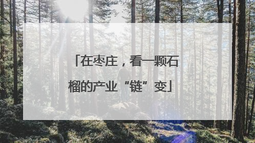 在枣庄，看一颗石榴的产业“链”变