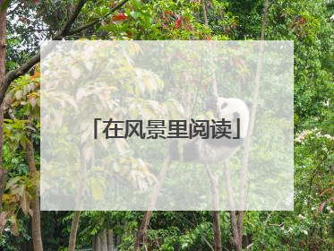 在风景里阅读