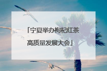 宁夏举办枸杞红茶高质量发展大会