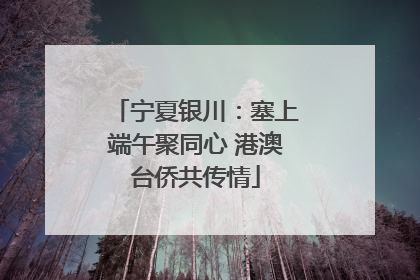 宁夏银川：塞上端午聚同心 港澳台侨共传情