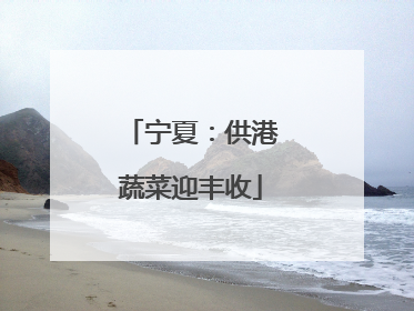 宁夏：供港蔬菜迎丰收
