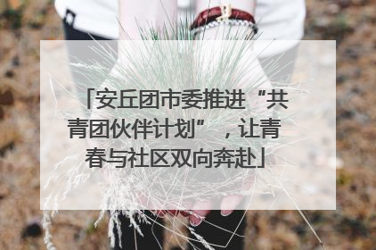 安丘团市委推进“共青团伙伴计划”，让青春与社区双向奔赴