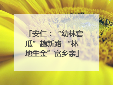 安仁：“幼林套瓜”趟新路 “林地生金”富乡亲