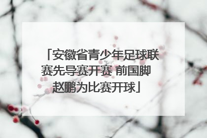 安徽省青少年足球联赛先导赛开赛 前国脚赵鹏为比赛开球