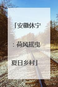 安徽休宁：荷风摇曳夏日乡村