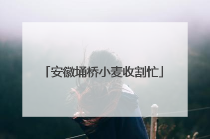 安徽埇桥小麦收割忙