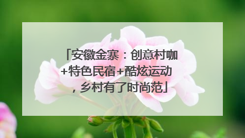安徽金寨：创意村咖+特色民宿+酷炫运动，乡村有了时尚范