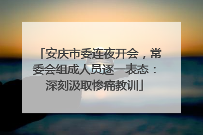 安庆市委连夜开会，常委会组成人员逐一表态：深刻汲取惨痛教训