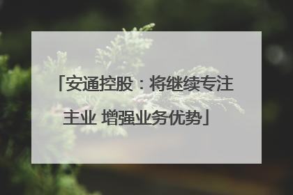 安通控股：将继续专注主业 增强业务优势