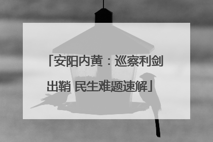 安阳内黄：巡察利剑出鞘 民生难题速解