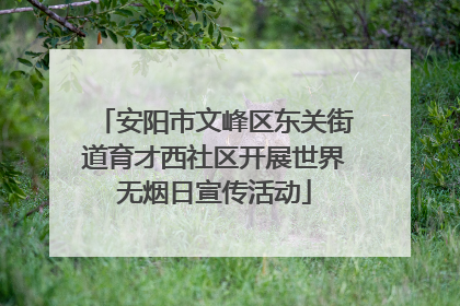 安阳市文峰区东关街道育才西社区开展世界无烟日宣传活动